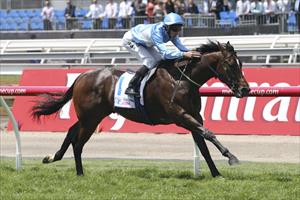 Maribyrnong winner Millions-bound